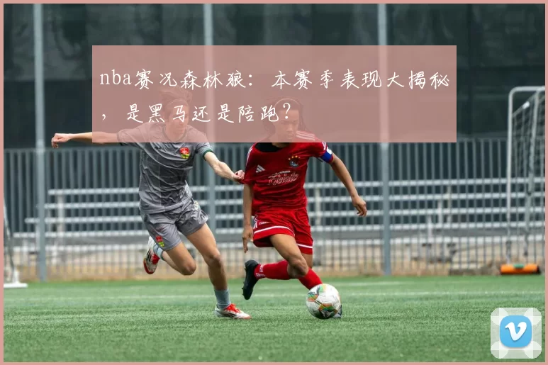 nba赛况森林狼：本赛季表现大揭秘，是黑马还是陪跑？