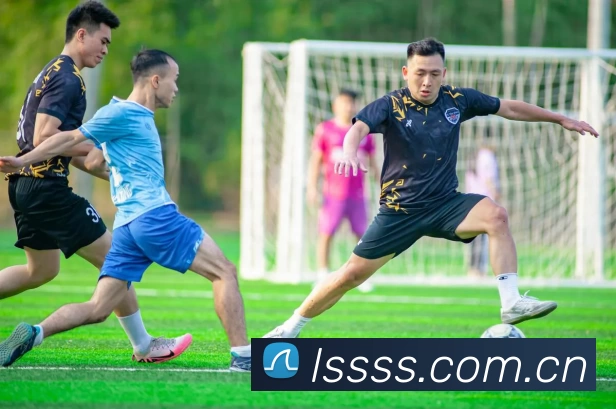 多媒体互动体验